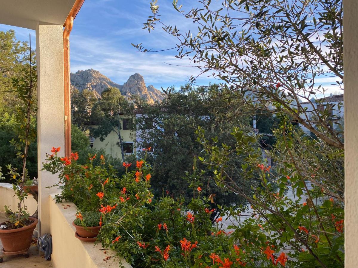 Casa Vacanza Malcusa San Pantaleo Eksteriør bilde